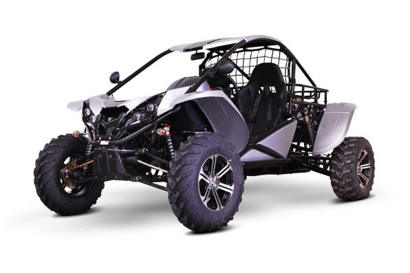 Renli Buggy 1100